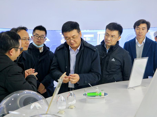 中國電力黨委委員、副總裁薛信春一行蒞臨我司考察調(diào)研 