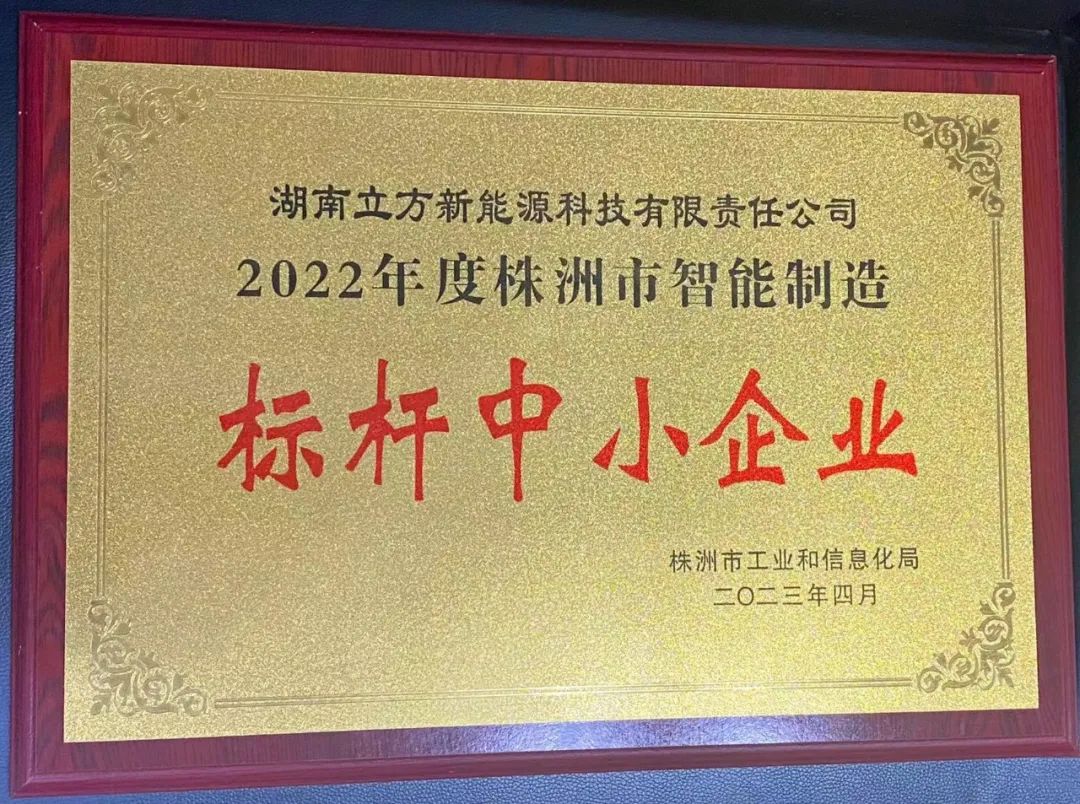 【喜訊】立方獲評株洲市智能制造標(biāo)桿中小企業(yè)